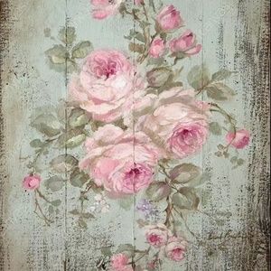 Meet your Posher, Carol c